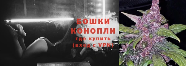 a pvp Магас