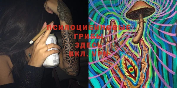 винт Майский
