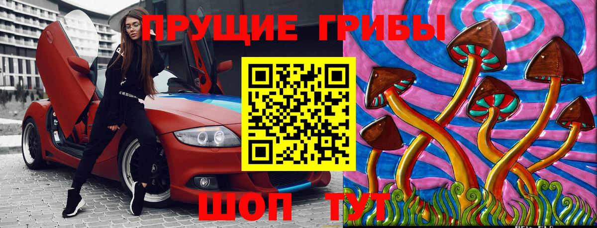 Мытищи  Псилоцибиновые грибы Psilocybe  Вход с VPN 