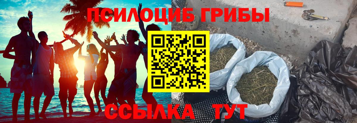 Псилоцибиновые грибы Magic Shrooms Мытищи